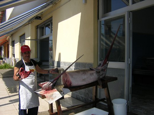 Fischhändler in Goia: Stolz auf die Ware!