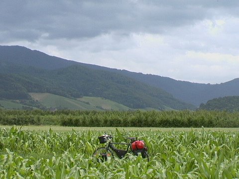 noch im Tal des Oberrhein