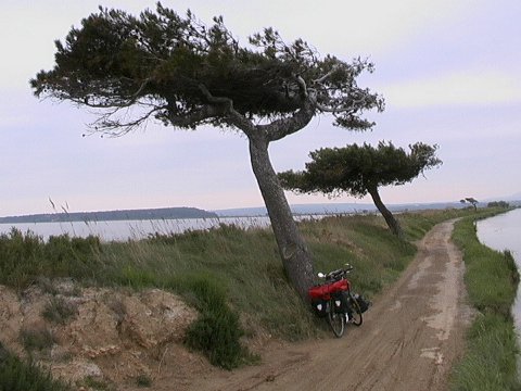 Kanal bei Narbonne